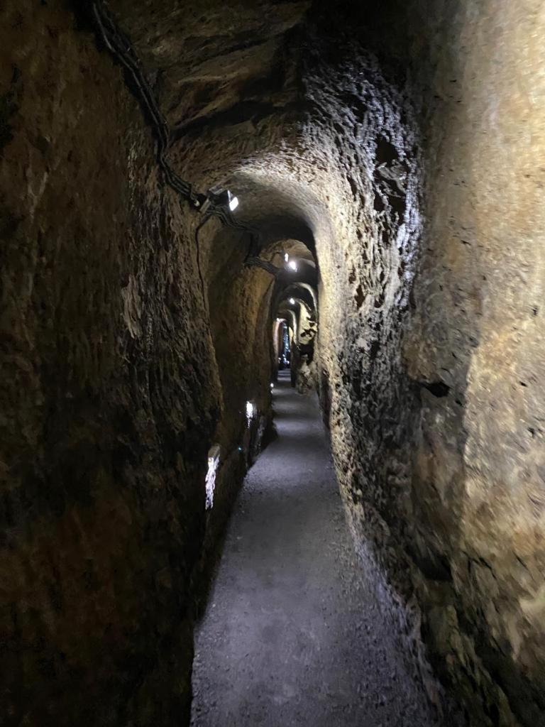 Ferienwohnung Maarburg Ulmen المظهر الخارجي الصورة